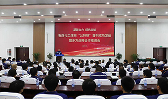 鲁西化工“公转铁”首列发运 央企协同共筑绿...