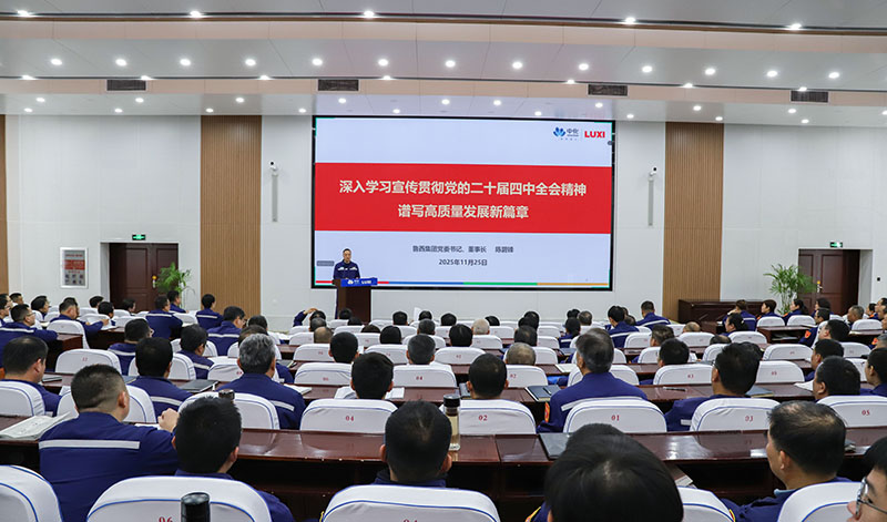 鲁西集团召开学习贯彻党的二十届四中全会精...